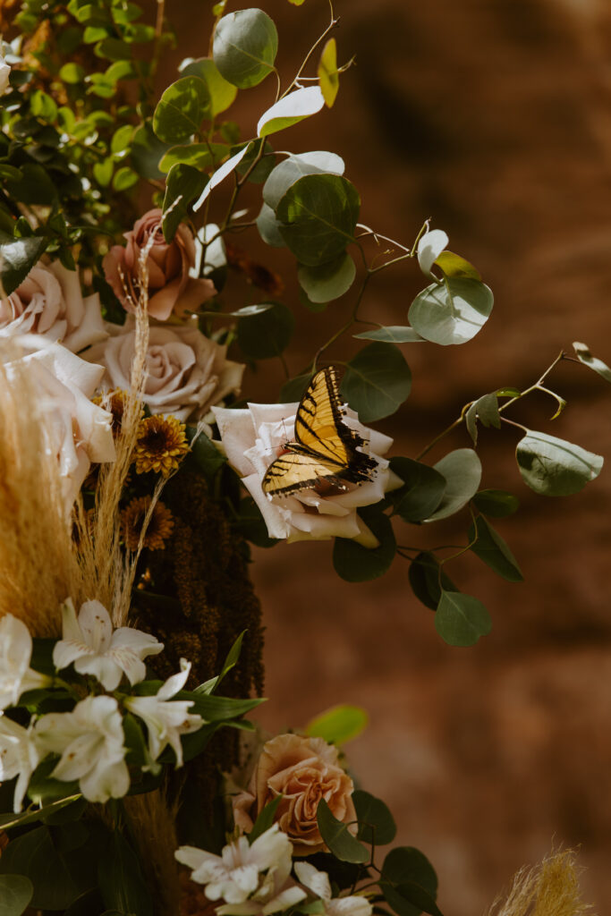 Chloe and Tyson | Best Friends Animal Sanctuary Wedding | Kanab, Utah | Southern Utah Wedding and Elopement Photographer, Emily Dawn Photo