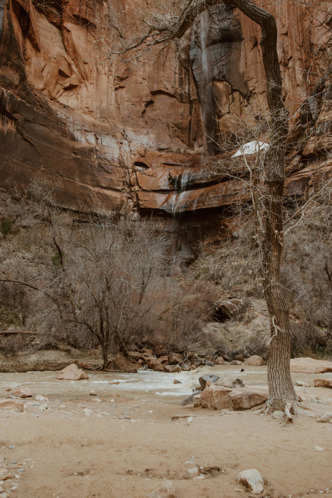 Christine and Ricky, Zion National Park Engagements - Southern Utah Photographer, Emily Dawn Photo