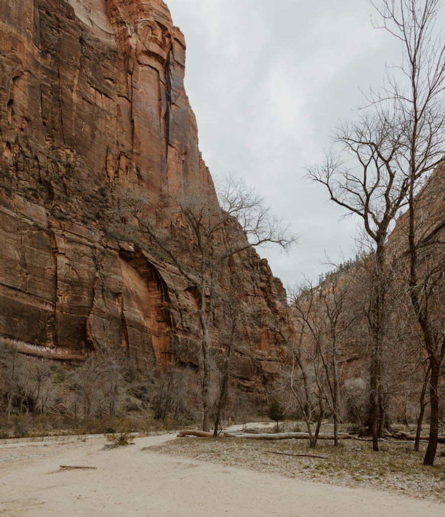 Christine and Ricky, Zion National Park Engagements - Southern Utah Photographer, Emily Dawn Photo