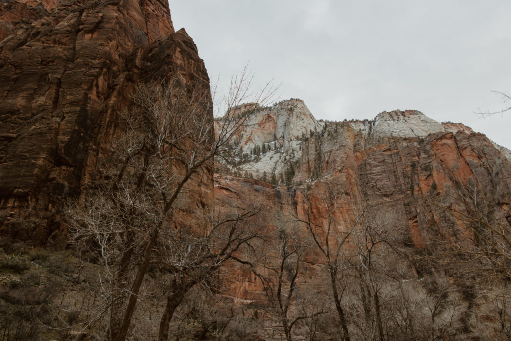 Christine and Ricky, Zion National Park Engagements - Southern Utah Photographer, Emily Dawn Photo