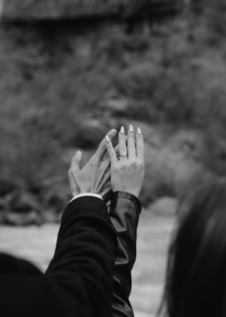 Christine and Ricky, Zion National Park Engagements - Southern Utah Photographer, Emily Dawn Photo