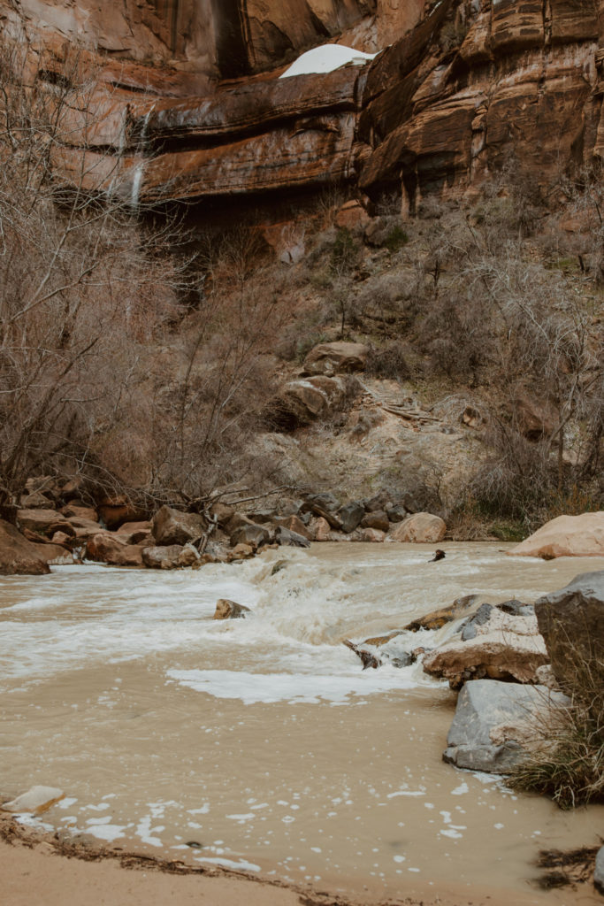 Christine and Ricky, Zion National Park Engagements - Southern Utah Photographer, Emily Dawn Photo