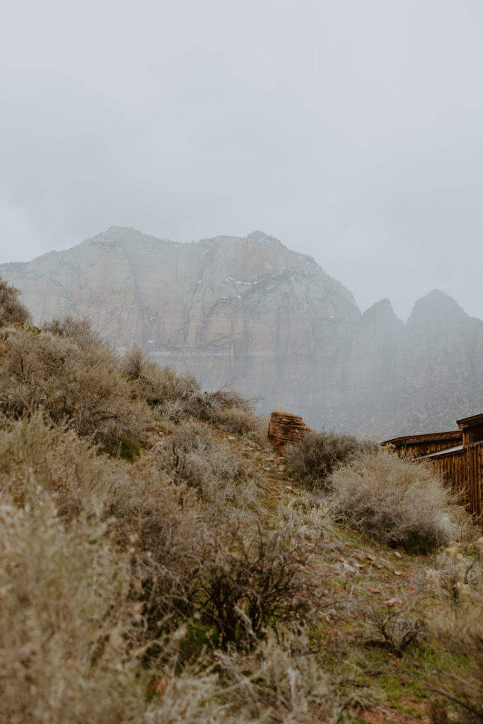 Melissa and Luke, Zion National Park Temple of Sinawava Utah Elopement - Southern Utah Photographer, Emily Dawn Photo