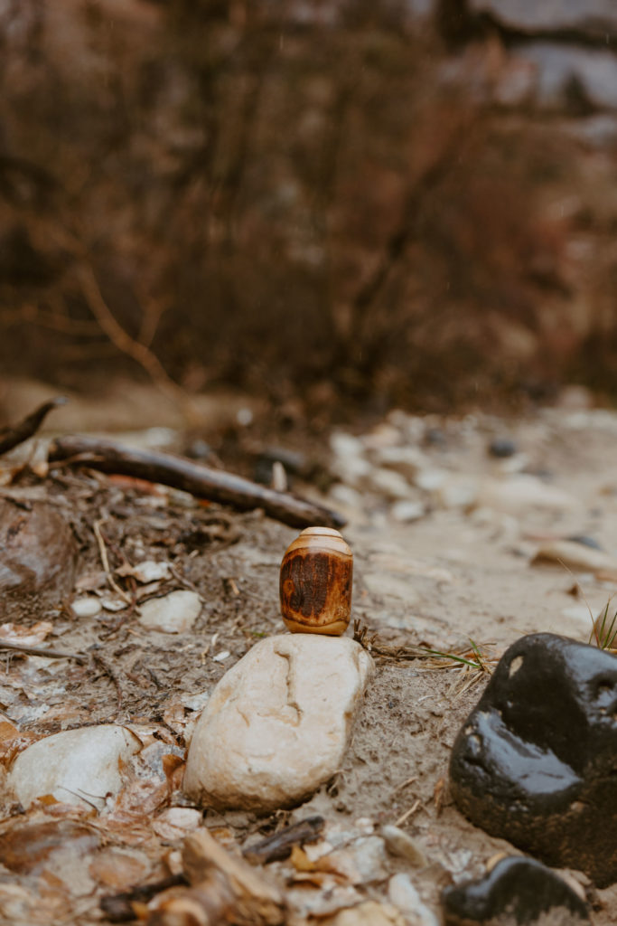 Melissa and Luke, Zion National Park Temple of Sinawava Utah Elopement - Southern Utah Photographer, Emily Dawn Photo