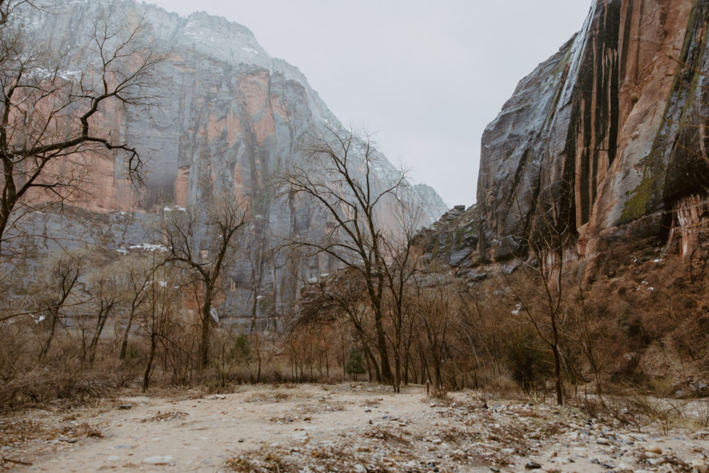 Melissa and Luke, Zion National Park Temple of Sinawava Utah Elopement - Southern Utah Photographer, Emily Dawn Photo