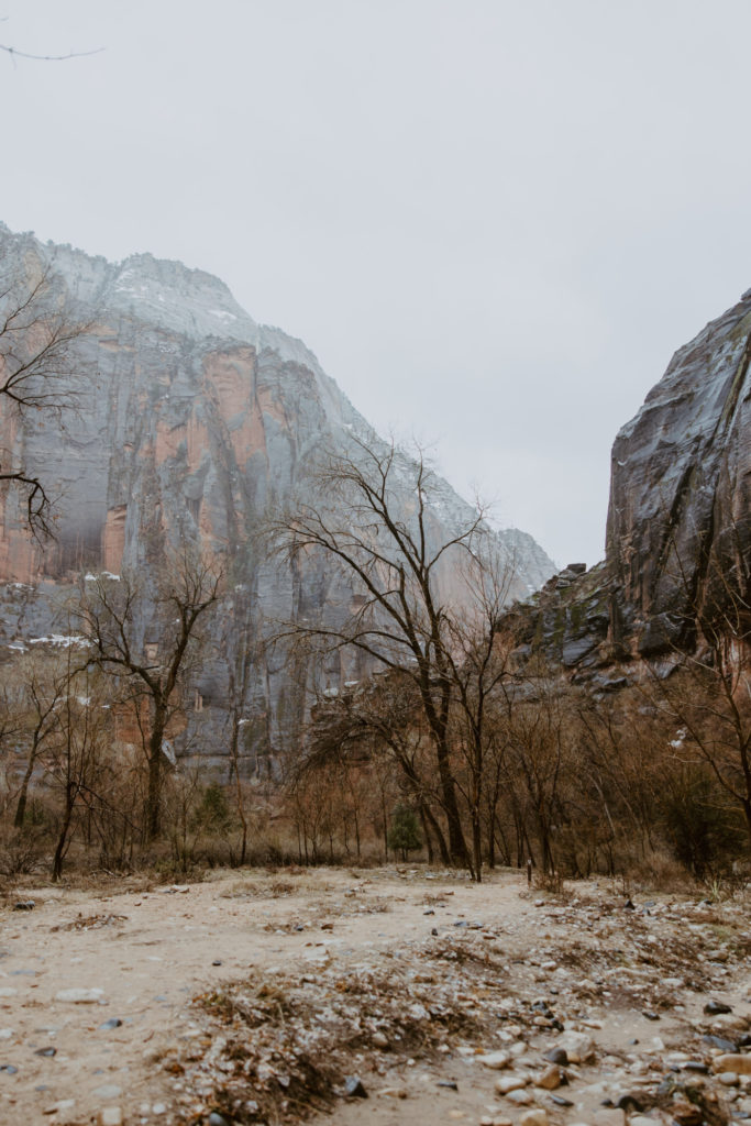 Melissa and Luke, Zion National Park Temple of Sinawava Utah Elopement - Southern Utah Photographer, Emily Dawn Photo