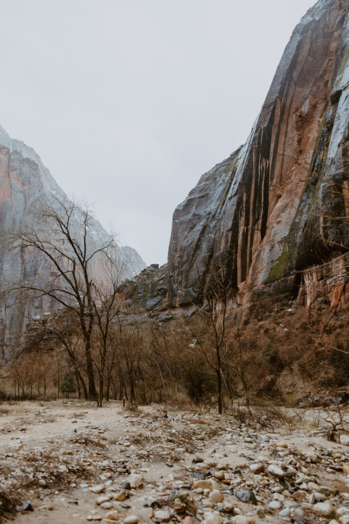 Melissa and Luke, Zion National Park Temple of Sinawava Utah Elopement - Southern Utah Photographer, Emily Dawn Photo