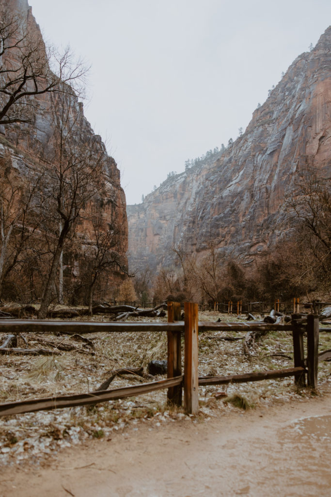 Melissa and Luke, Zion National Park Temple of Sinawava Utah Elopement - Southern Utah Photographer, Emily Dawn Photo