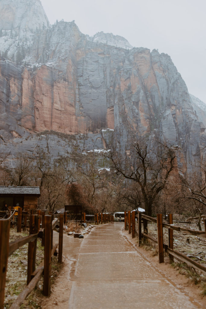 Melissa and Luke, Zion National Park Temple of Sinawava Utah Elopement - Southern Utah Photographer, Emily Dawn Photo