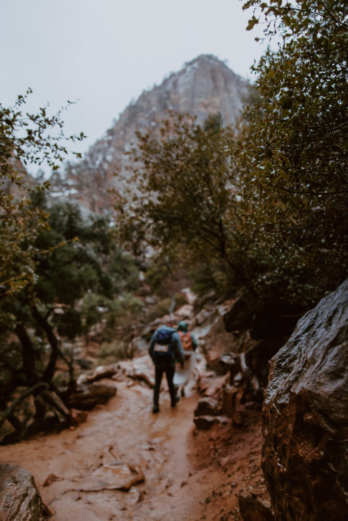 Melissa and Luke, Zion National Park Temple of Sinawava Utah Elopement - Southern Utah Photographer, Emily Dawn Photo