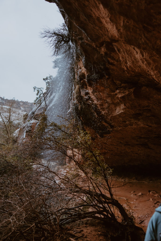 Melissa and Luke, Zion National Park Temple of Sinawava Utah Elopement - Southern Utah Photographer, Emily Dawn Photo