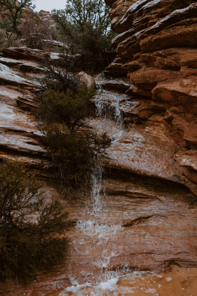 Melissa and Luke, Zion National Park Temple of Sinawava Utah Elopement - Southern Utah Photographer, Emily Dawn Photo