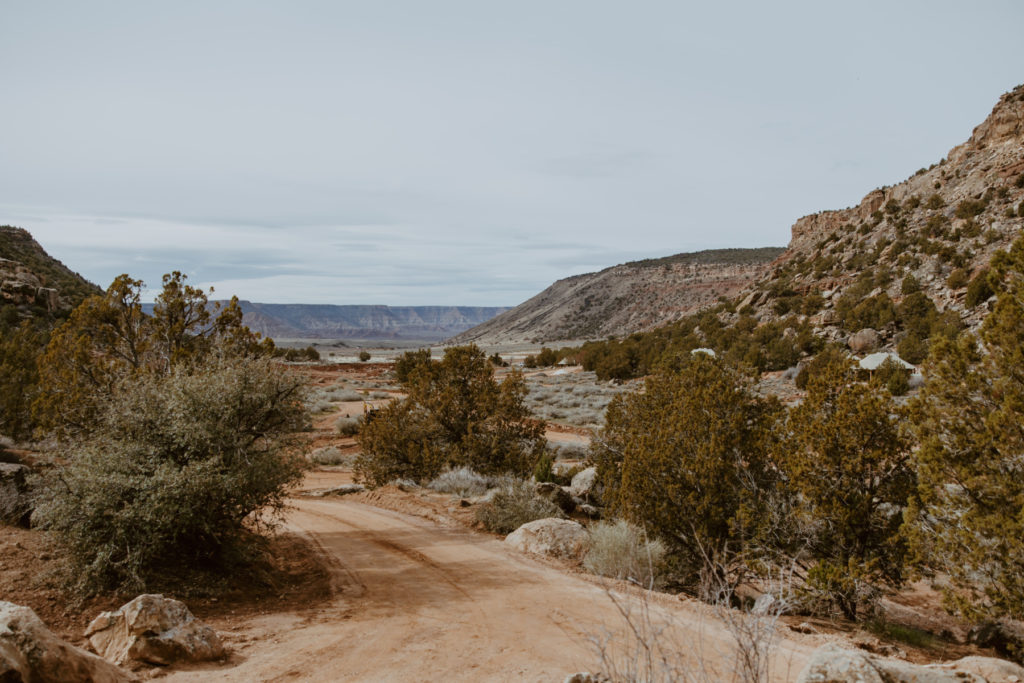 Melissa and Luke, Zion National Park Temple of Sinawava Utah Elopement - Southern Utah Photographer, Emily Dawn Photo