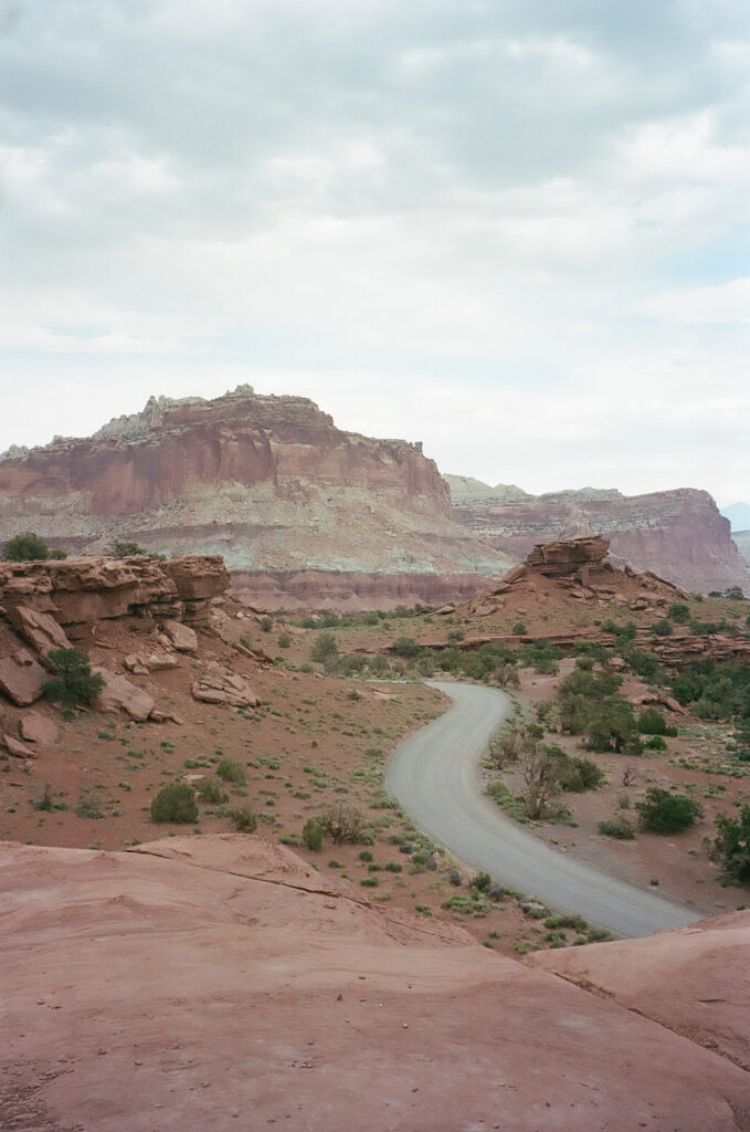 Danielle and Nick | Capitol Reef National Park Wedding | Torrey, Utah | Emily Dawn Photo | Southern Utah Wedding and Elopement Photographer