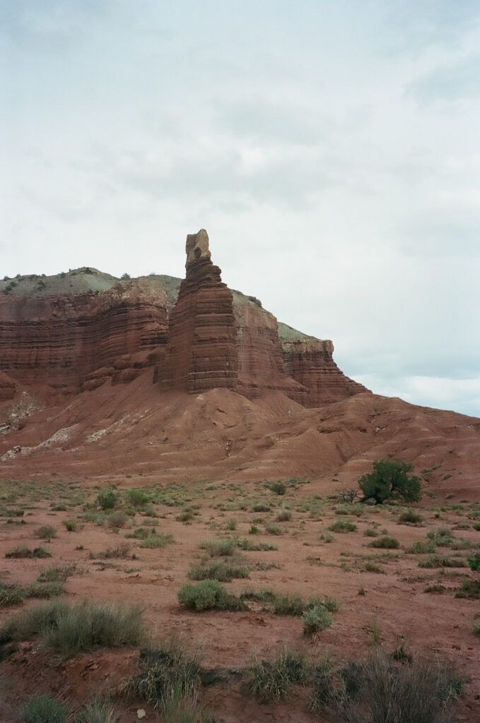 Danielle and Nick | Capitol Reef National Park Wedding | Torrey, Utah | Emily Dawn Photo | Southern Utah Wedding and Elopement Photographer