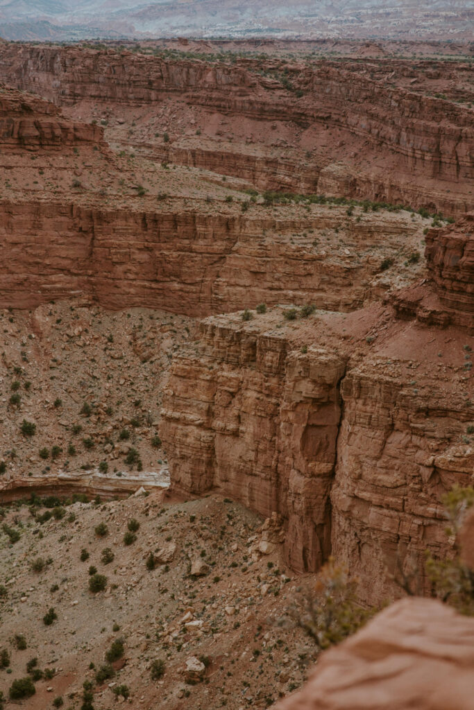 Danielle and Nick | Capitol Reef National Park Wedding | Torrey, Utah | Emily Dawn Photo | Southern Utah Wedding and Elopement Photographer