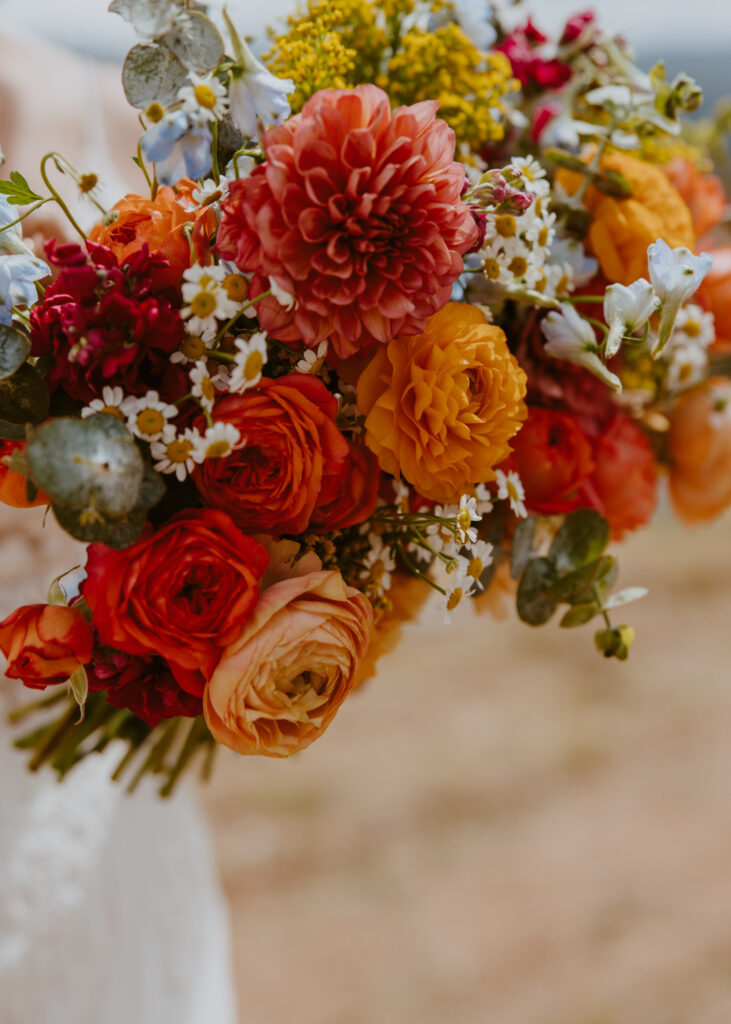 Danielle and Nick | Capitol Reef National Park Wedding | Torrey, Utah | Emily Dawn Photo | Southern Utah Wedding and Elopement Photographer