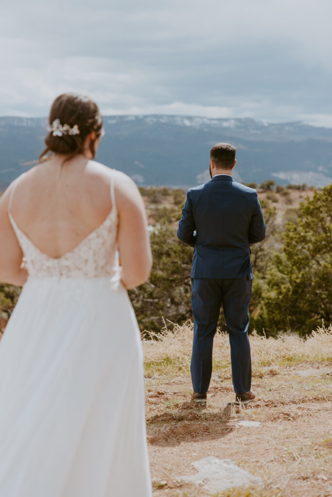 Danielle and Nick | Capitol Reef National Park Wedding | Torrey, Utah | Emily Dawn Photo | Southern Utah Wedding and Elopement Photographer