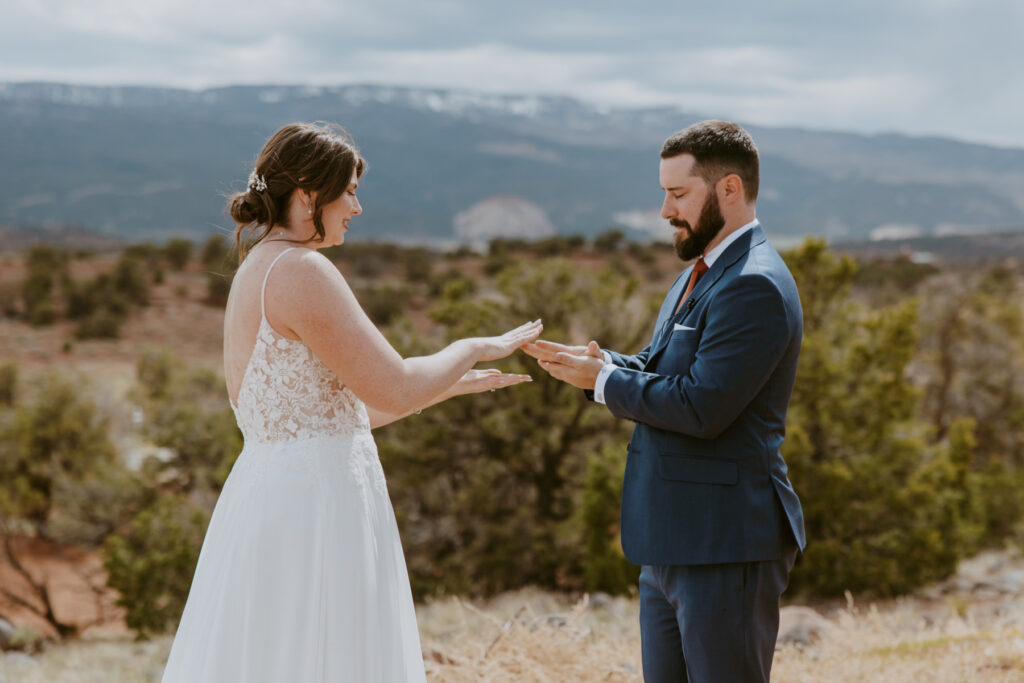 Danielle and Nick | Capitol Reef National Park Wedding | Torrey, Utah | Emily Dawn Photo | Southern Utah Wedding and Elopement Photographer