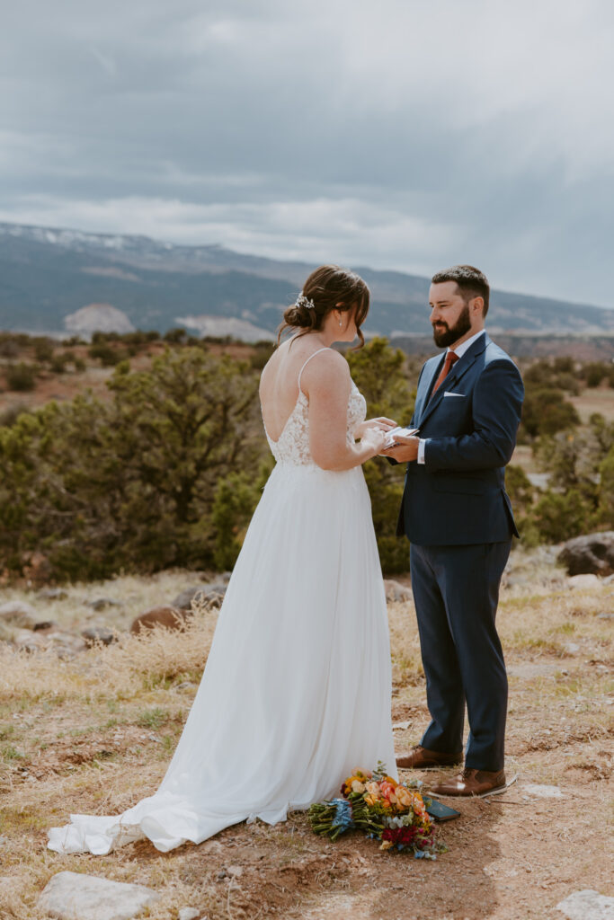 Danielle and Nick | Capitol Reef National Park Wedding | Torrey, Utah | Emily Dawn Photo | Southern Utah Wedding and Elopement Photographer