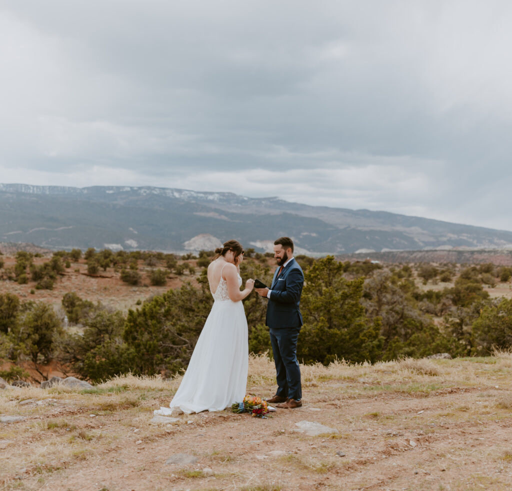 Danielle and Nick | Capitol Reef National Park Wedding | Torrey, Utah | Emily Dawn Photo | Southern Utah Wedding and Elopement Photographer