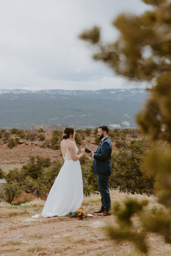 Danielle and Nick | Capitol Reef National Park Wedding | Torrey, Utah | Emily Dawn Photo | Southern Utah Wedding and Elopement Photographer