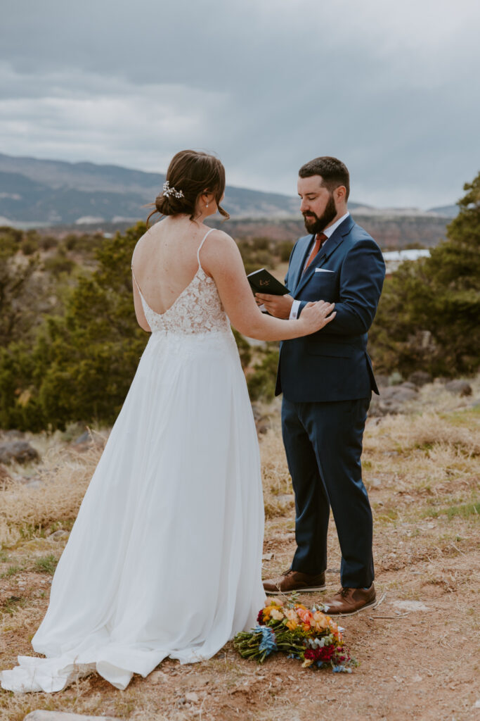 Danielle and Nick | Capitol Reef National Park Wedding | Torrey, Utah | Emily Dawn Photo | Southern Utah Wedding and Elopement Photographer