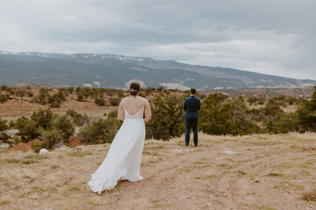 Danielle and Nick | Capitol Reef National Park Wedding | Torrey, Utah | Emily Dawn Photo | Southern Utah Wedding and Elopement Photographer