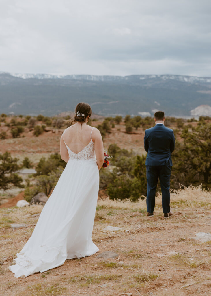 Danielle and Nick | Capitol Reef National Park Wedding | Torrey, Utah | Emily Dawn Photo | Southern Utah Wedding and Elopement Photographer