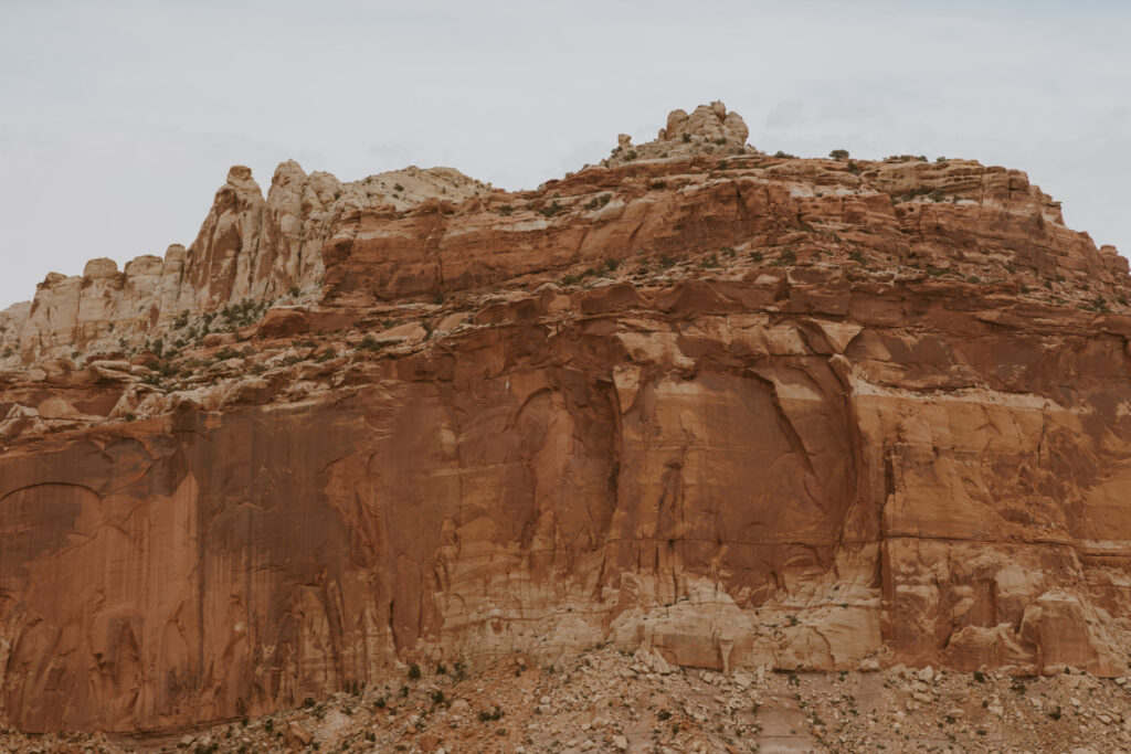 Danielle and Nick | Capitol Reef National Park Wedding | Torrey, Utah | Emily Dawn Photo | Southern Utah Wedding and Elopement Photographer