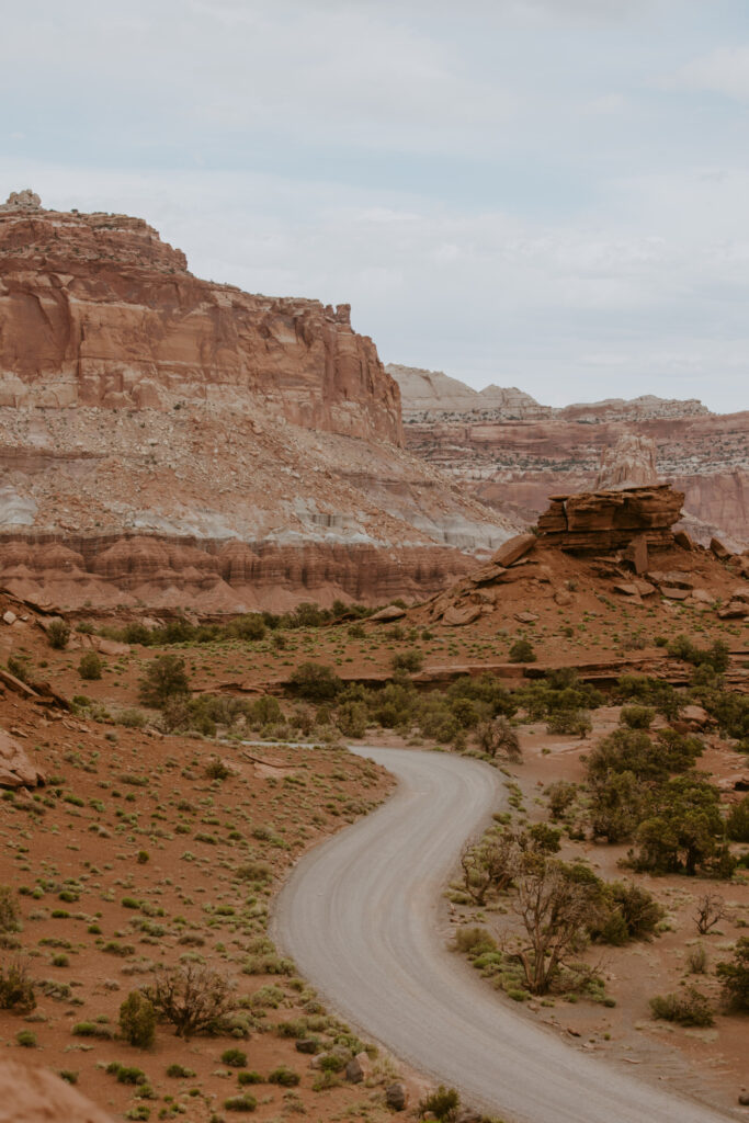 Danielle and Nick | Capitol Reef National Park Wedding | Torrey, Utah | Emily Dawn Photo | Southern Utah Wedding and Elopement Photographer