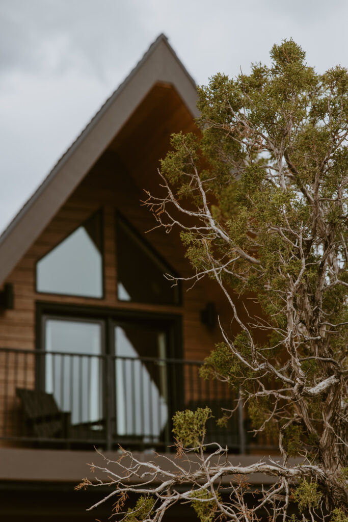 Danielle and Nick | Capitol Reef National Park Wedding | Torrey, Utah | Emily Dawn Photo | Southern Utah Wedding and Elopement Photographer