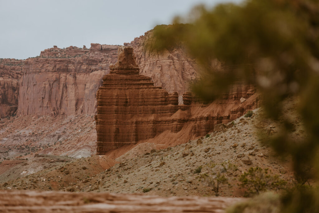 Danielle and Nick | Capitol Reef National Park Wedding | Torrey, Utah | Emily Dawn Photo | Southern Utah Wedding and Elopement Photographer