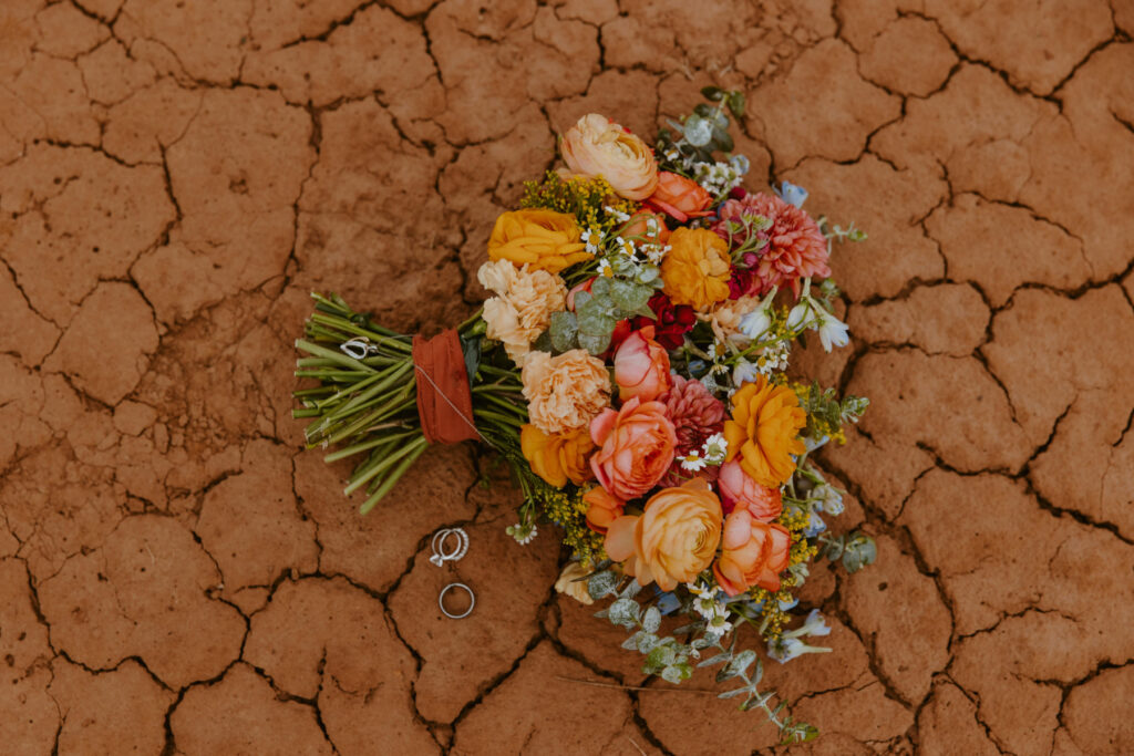 Danielle and Nick | Capitol Reef National Park Wedding | Torrey, Utah | Emily Dawn Photo | Southern Utah Wedding and Elopement Photographer