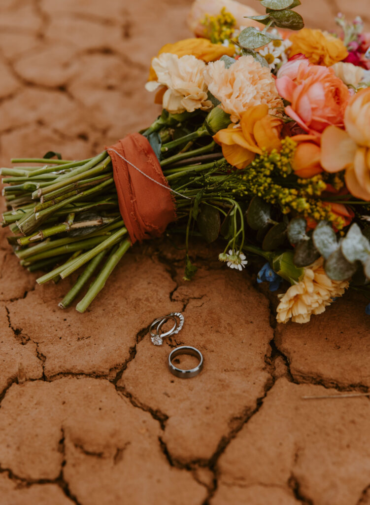 Danielle and Nick | Capitol Reef National Park Wedding | Torrey, Utah | Emily Dawn Photo | Southern Utah Wedding and Elopement Photographer