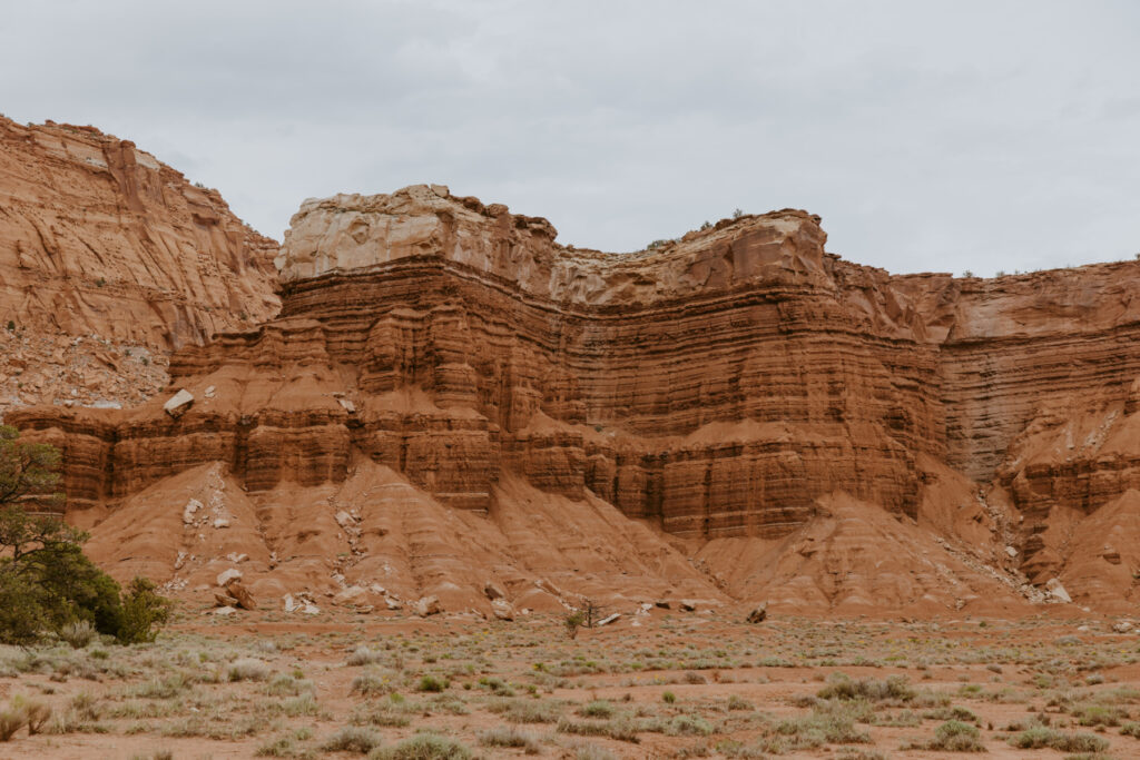 Danielle and Nick | Capitol Reef National Park Wedding | Torrey, Utah | Emily Dawn Photo | Southern Utah Wedding and Elopement Photographer