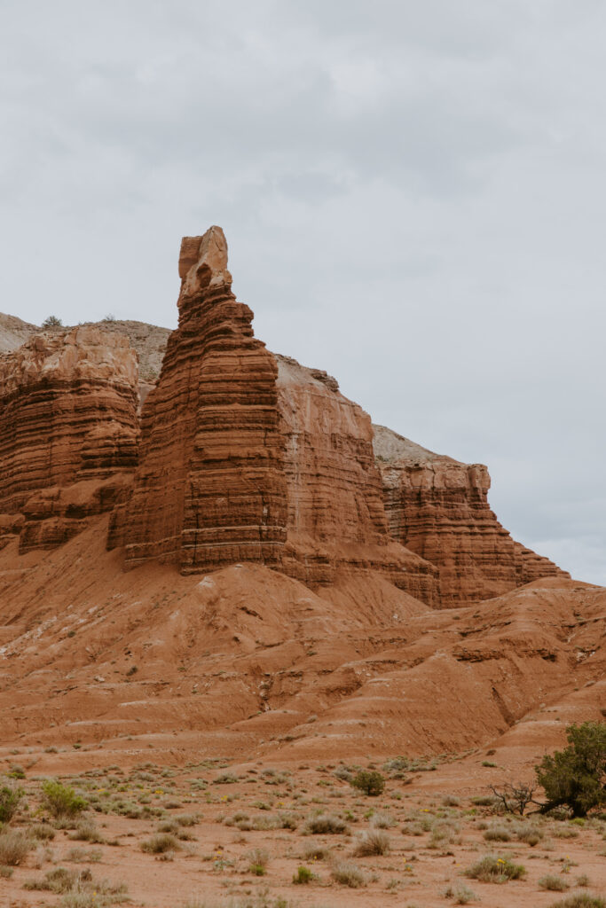 Danielle and Nick | Capitol Reef National Park Wedding | Torrey, Utah | Emily Dawn Photo | Southern Utah Wedding and Elopement Photographer