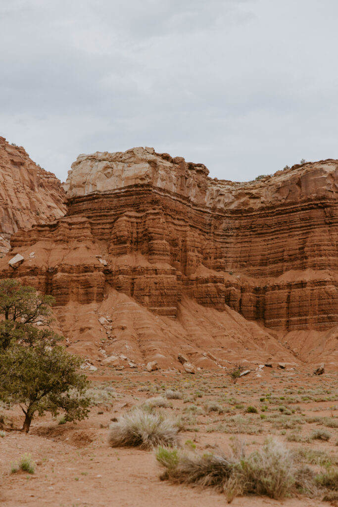 Danielle and Nick | Capitol Reef National Park Wedding | Torrey, Utah | Emily Dawn Photo | Southern Utah Wedding and Elopement Photographer