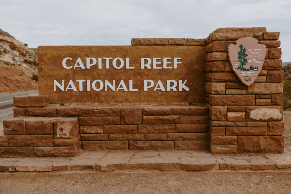 Danielle and Nick | Capitol Reef National Park Wedding | Torrey, Utah | Emily Dawn Photo | Southern Utah Wedding and Elopement Photographer