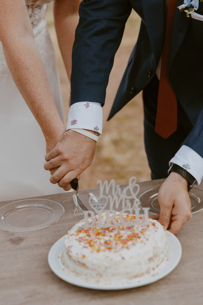 Danielle and Nick | Capitol Reef National Park Wedding | Torrey, Utah | Emily Dawn Photo | Southern Utah Wedding and Elopement Photographer