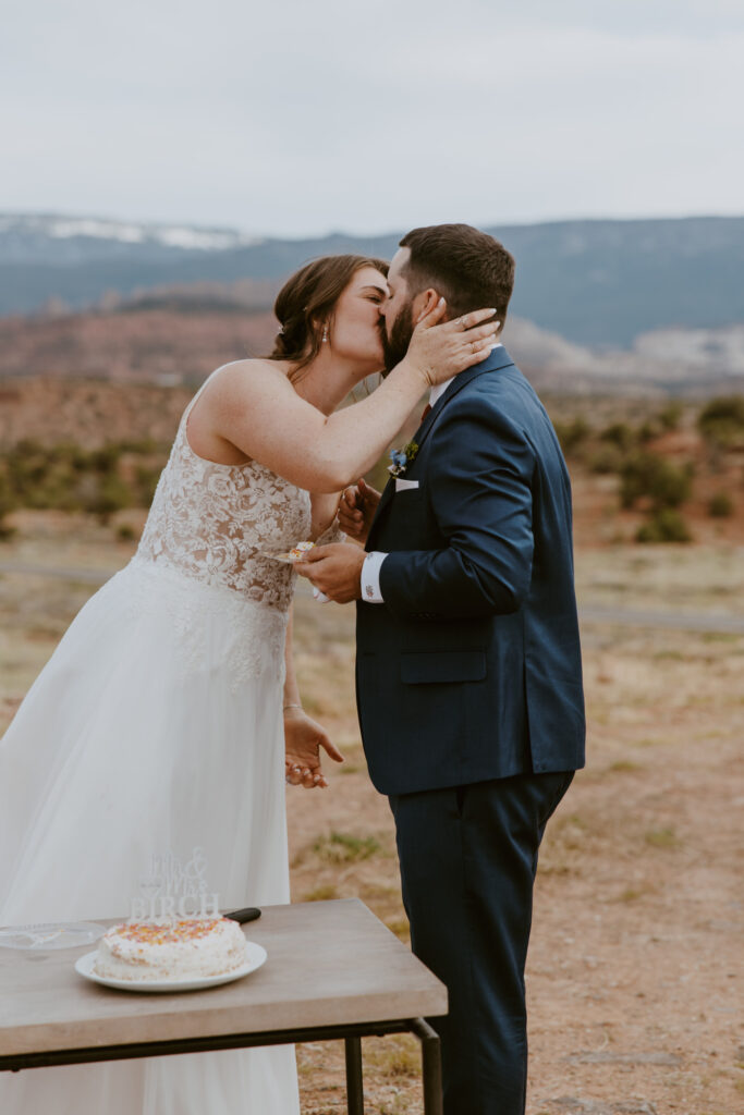 Danielle and Nick | Capitol Reef National Park Wedding | Torrey, Utah | Emily Dawn Photo | Southern Utah Wedding and Elopement Photographer