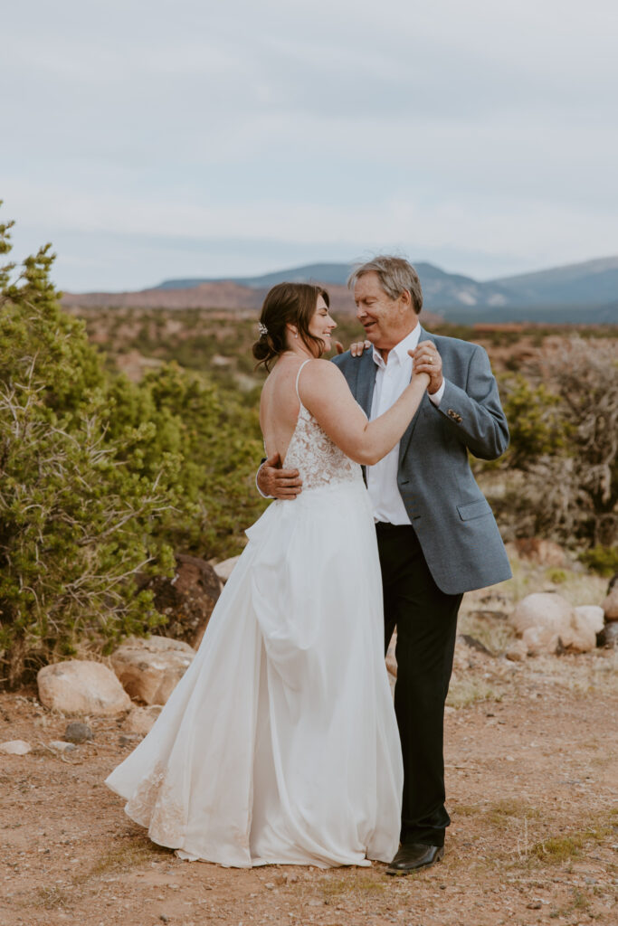 Danielle and Nick | Capitol Reef National Park Wedding | Torrey, Utah | Emily Dawn Photo | Southern Utah Wedding and Elopement Photographer