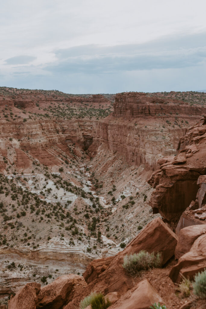 Danielle and Nick | Capitol Reef National Park Wedding | Torrey, Utah | Emily Dawn Photo | Southern Utah Wedding and Elopement Photographer