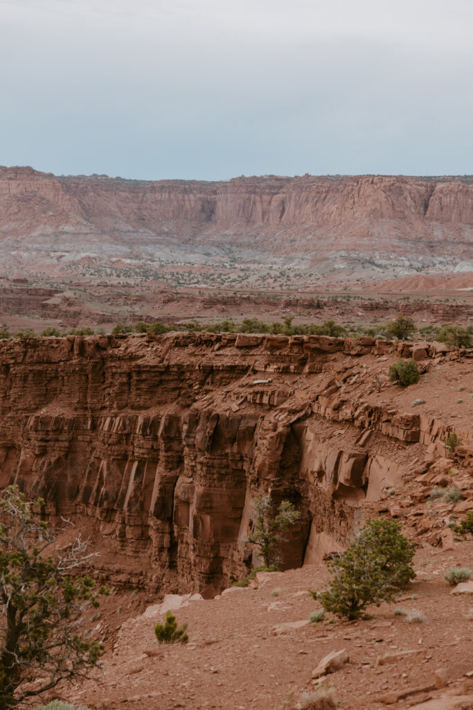 Danielle and Nick | Capitol Reef National Park Wedding | Torrey, Utah | Emily Dawn Photo | Southern Utah Wedding and Elopement Photographer