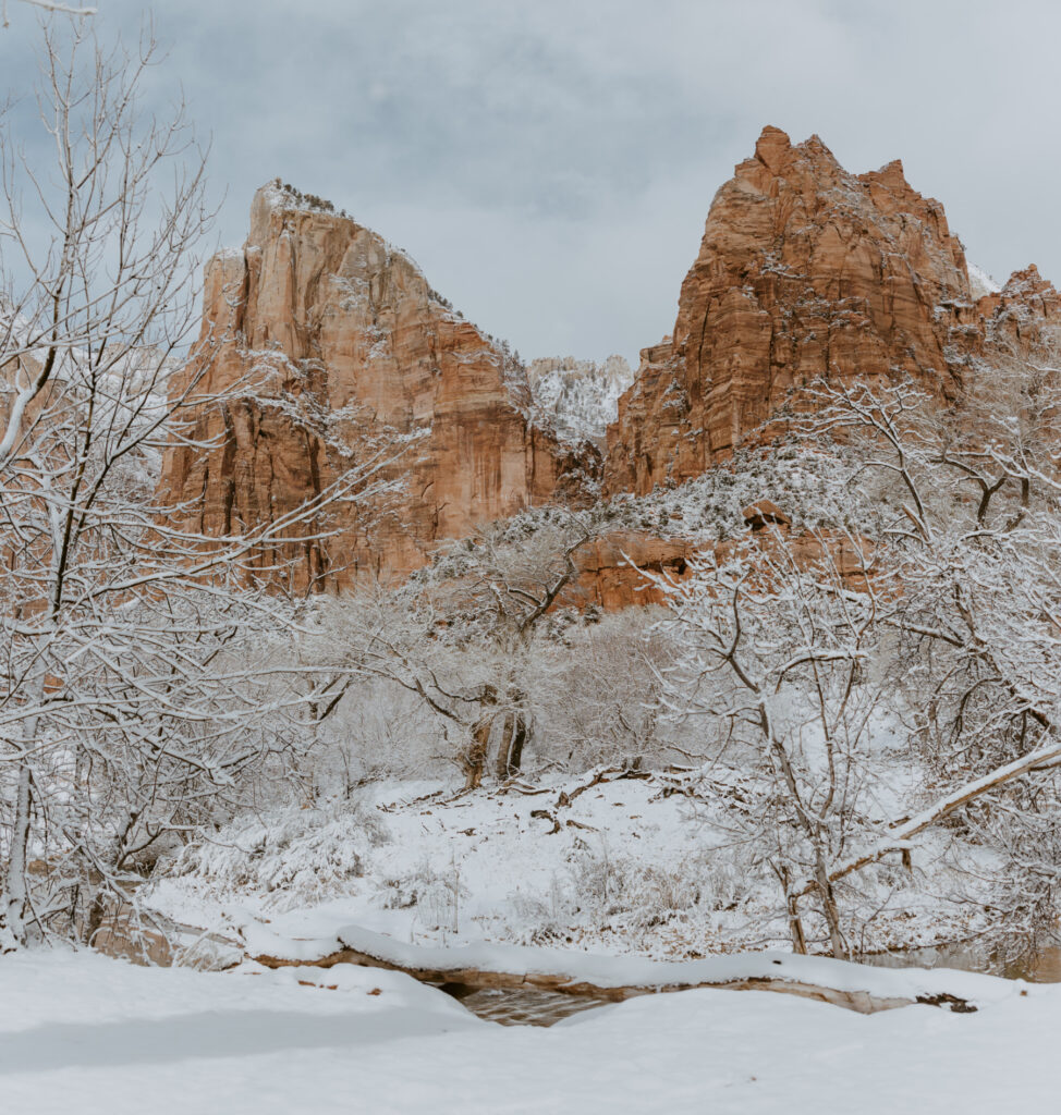 Fabiana and David, Zion National Park Proposal - Southern Utah Photographer, Emily Dawn Photo