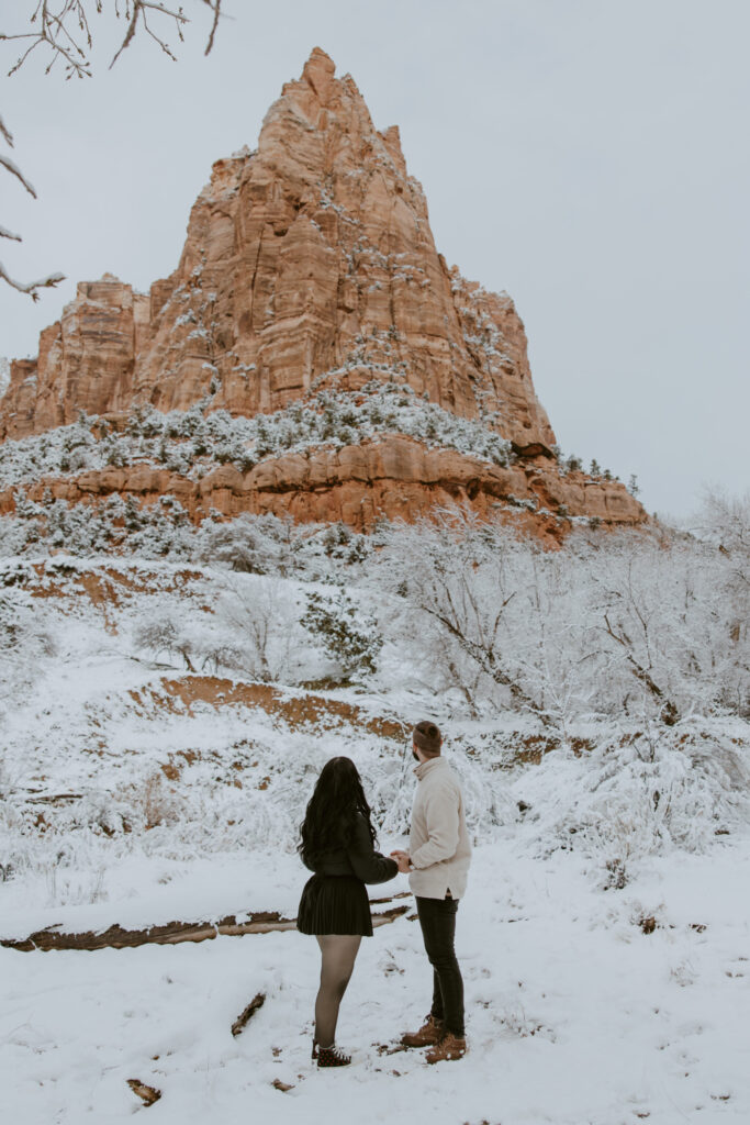 Fabiana and David, Zion National Park Proposal - Southern Utah Photographer, Emily Dawn Photo