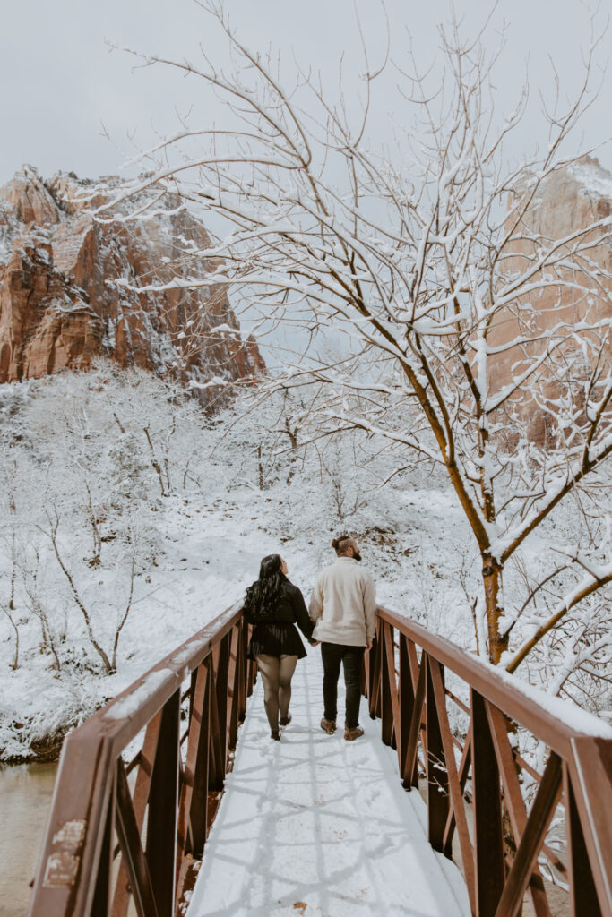 Fabiana and David, Zion National Park Proposal - Southern Utah Photographer, Emily Dawn Photo