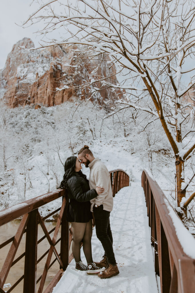 Fabiana and David, Zion National Park Proposal - Southern Utah Photographer, Emily Dawn Photo