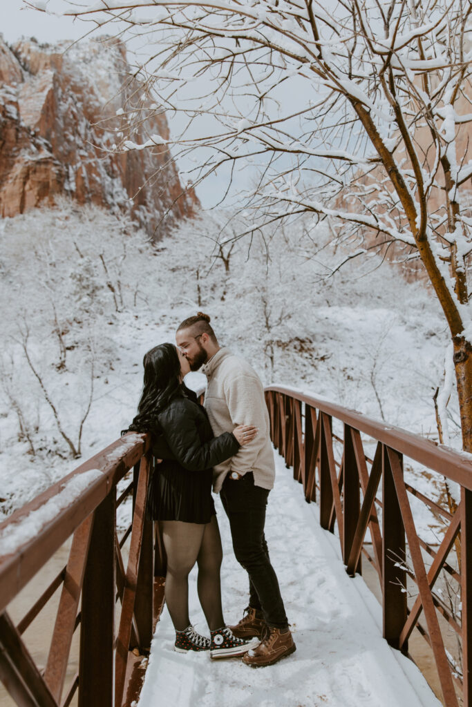 Fabiana and David, Zion National Park Proposal - Southern Utah Photographer, Emily Dawn Photo