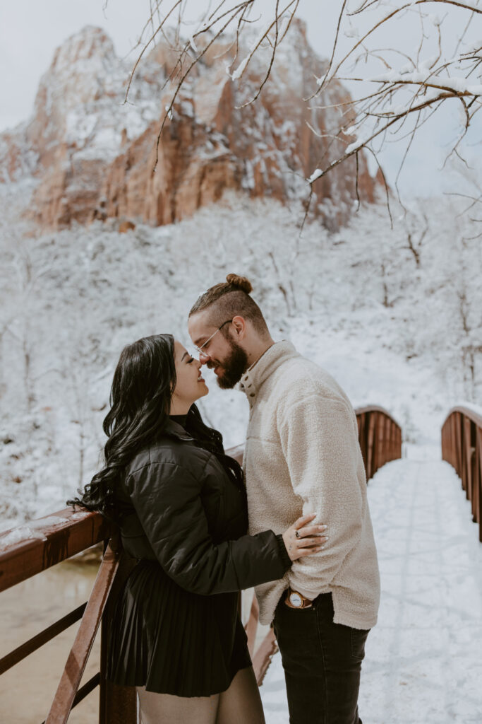 Fabiana and David, Zion National Park Proposal - Southern Utah Photographer, Emily Dawn Photo